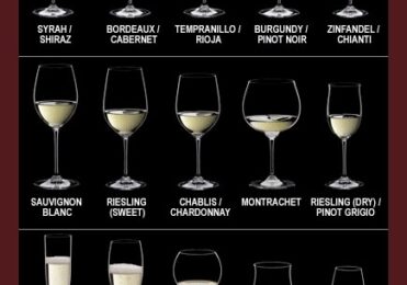 As 5 Melhores Taças de Champagne e Suas Características Distintivas